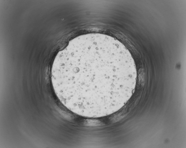 X0000116850605201002021047