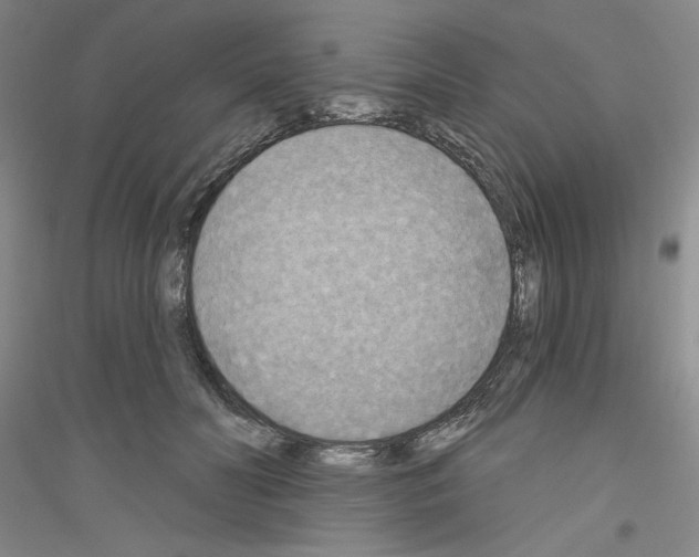 X0000116850606201002021047