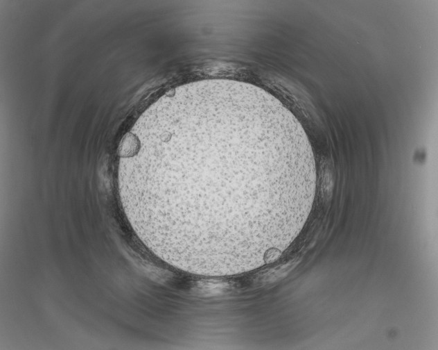 X0000116850607201002021047