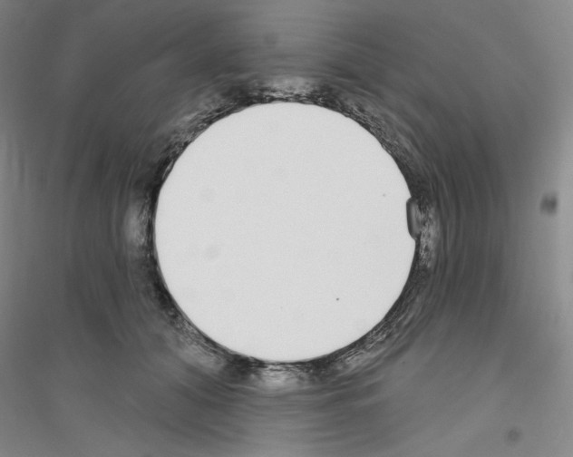 X0000116850608201002021047