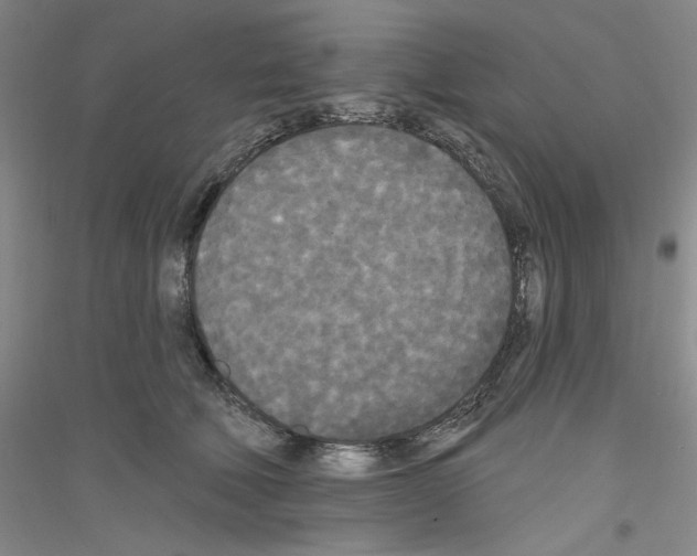 X0000116850610201002021047