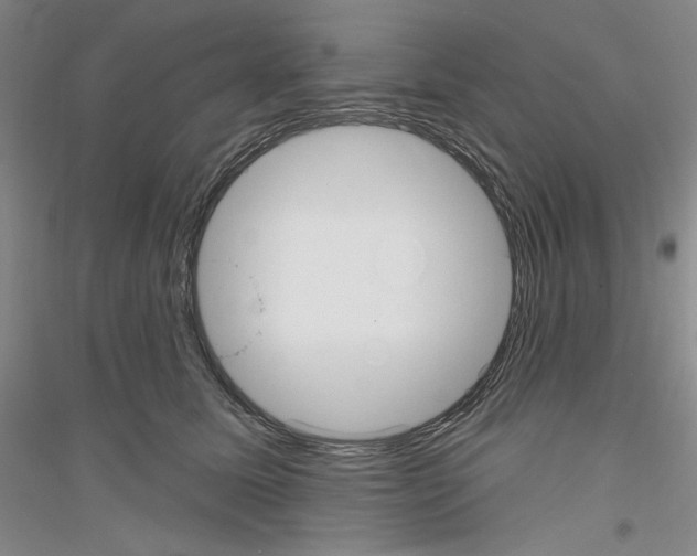 X0000116850611201002021047