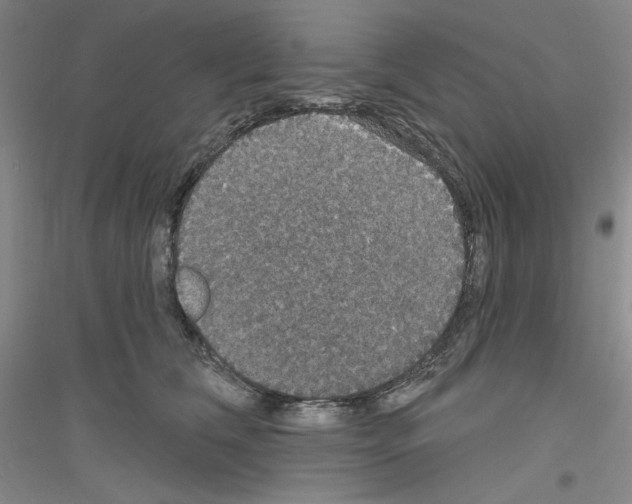 X0000116850612201002021047