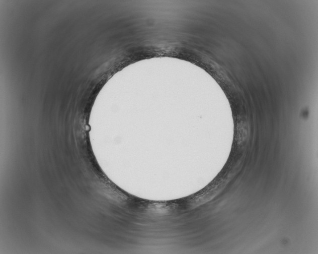 X0000116850613201002021047