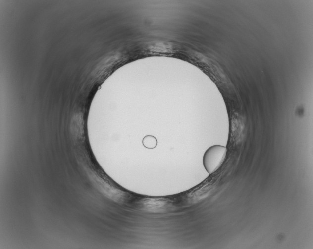 X0000116850614201002021047
