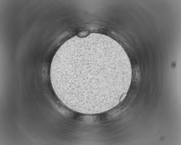 X0000116850615201002021047