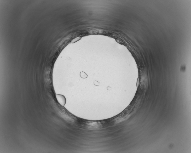 X0000116850616201002021047