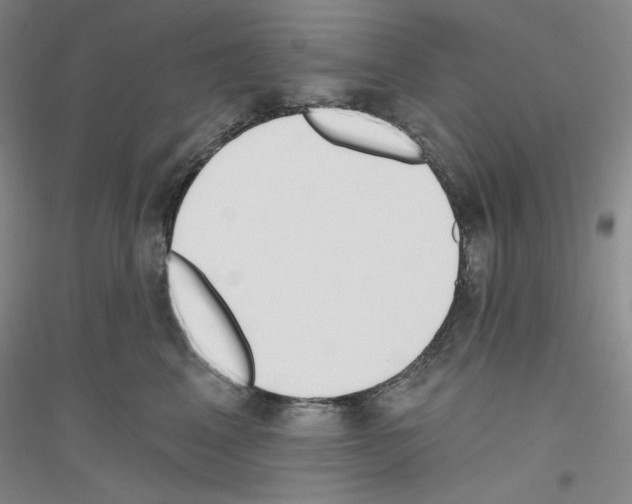X0000116850617201002021047
