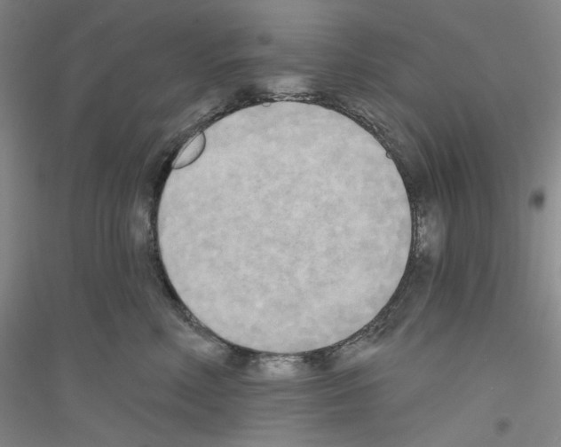 X0000116850618201002021047