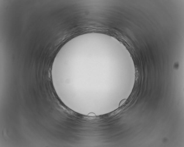 X0000116850621201002021046