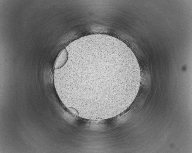 X0000116850622201002021046