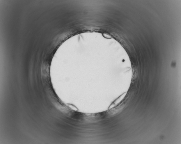X0000116850623201002021046