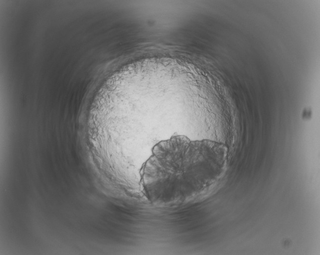 X0000116850624201002021046