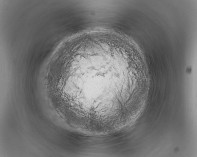 X0000116850625201002021046
