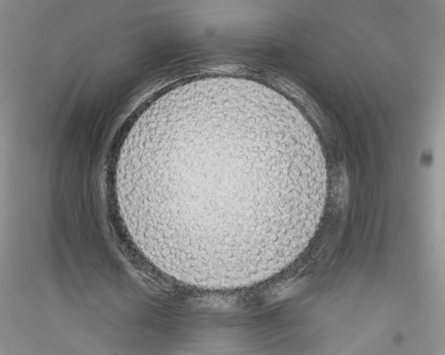 X0000116850626201002021046