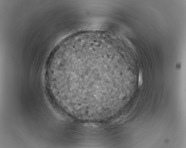 X0000116850627201002021046