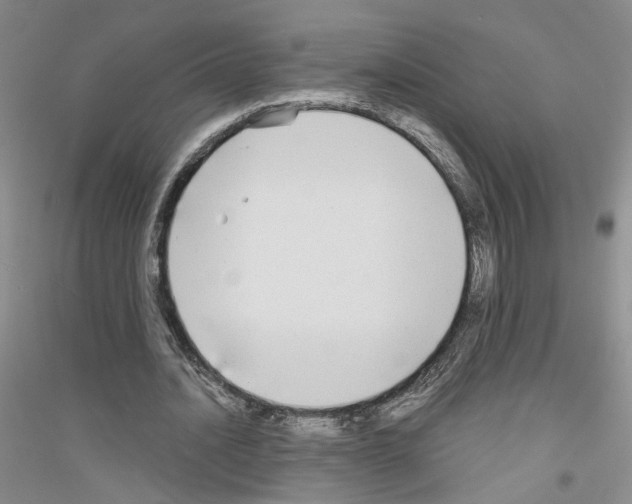 X0000116850628201002021046