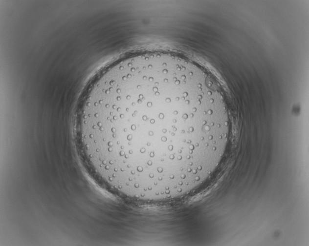 X0000116850629201002021046