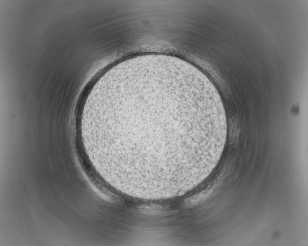 X0000116850630201002021046