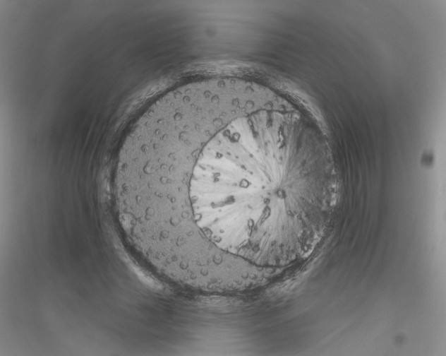 X0000116850633201002021046