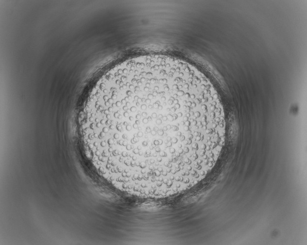 X0000116850635201002021046