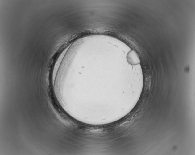 X0000116850638201002021046