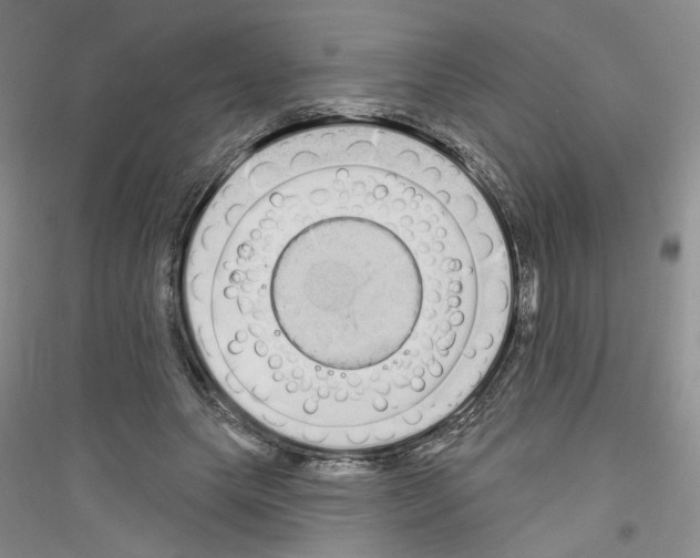 X0000116850639201002021046