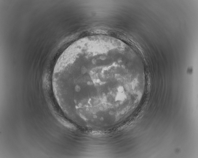 X0000116850641201002021046