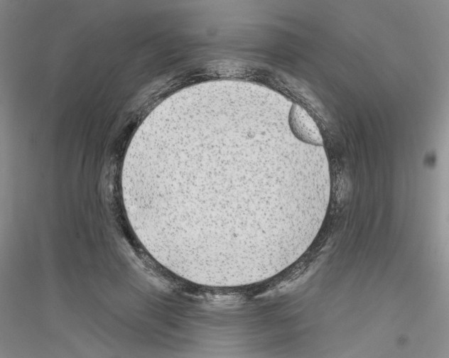 X0000116850645201002021046