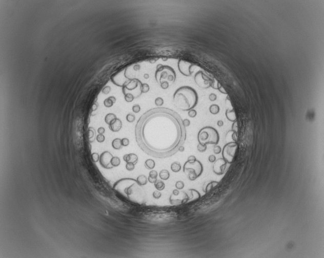 X0000116850646201002021046