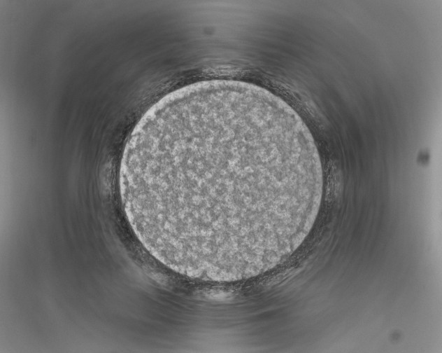X0000116850647201002021046