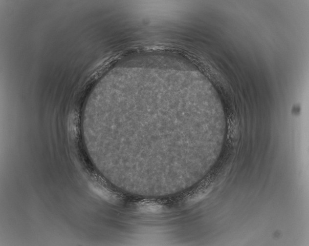 X0000116850648201002021046