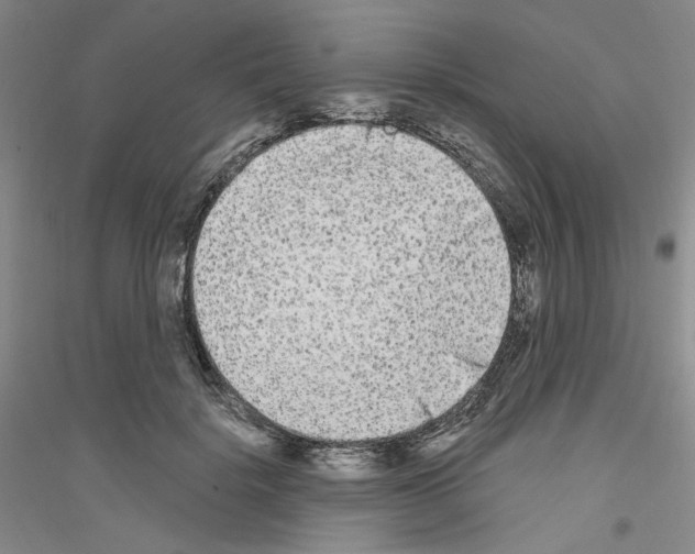 X0000116850652201002021046