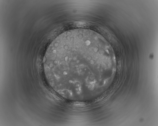 X0000116850653201002021046