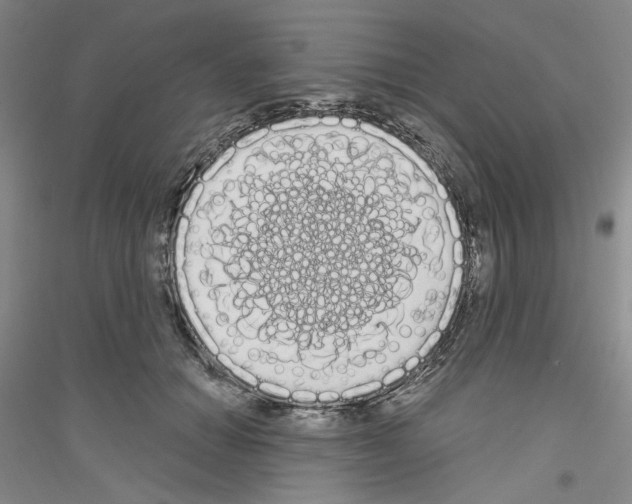 X0000116850654201002021046