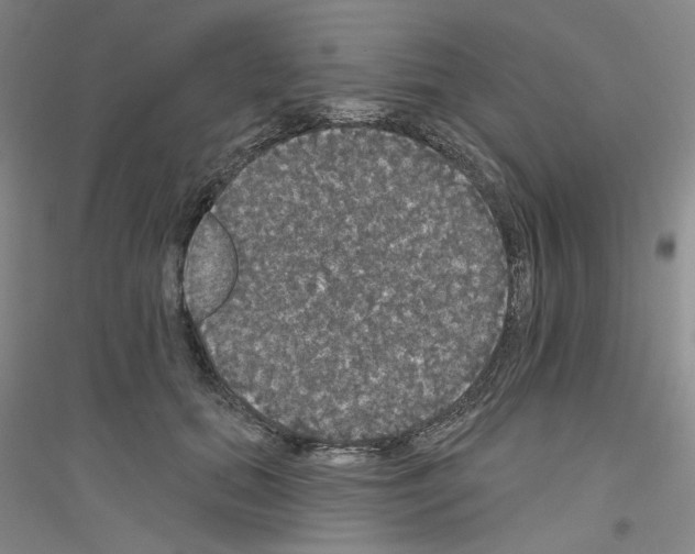 X0000116850655201002021046