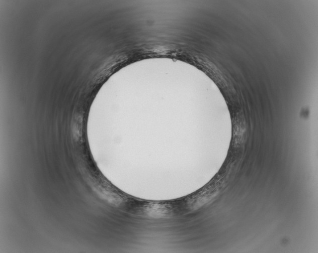 X0000116850656201002021046
