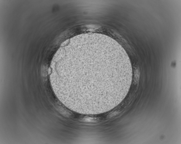 X0000116850657201002021046