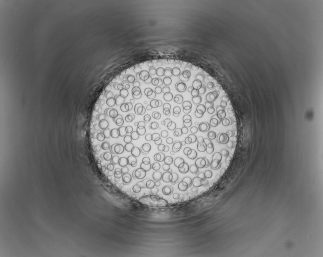 X0000116850658201002021046