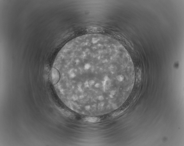 X0000116850659201002021046