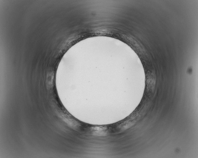 X0000116850660201002021046