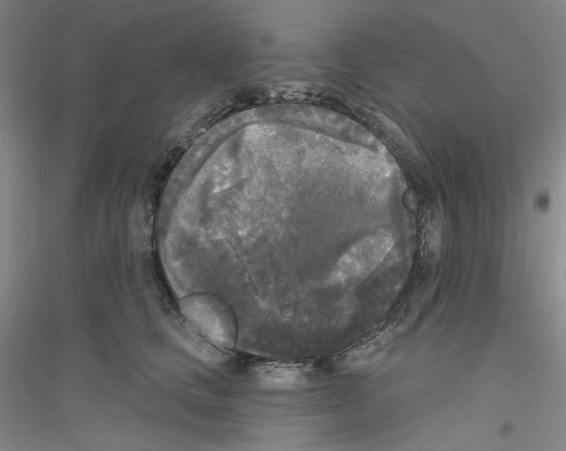 X0000116850661201002021046