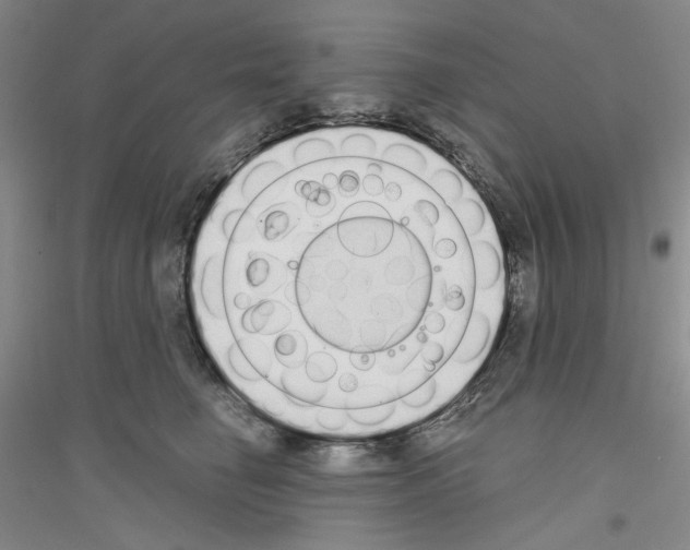 X0000116850662201002021046
