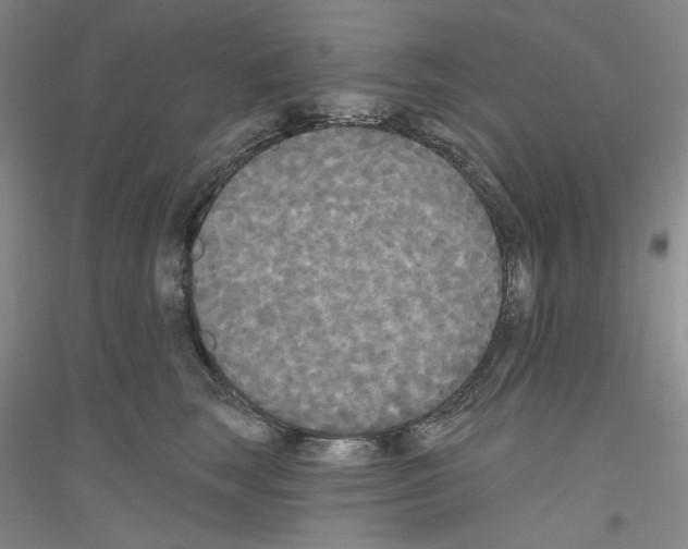 X0000116850663201002021046