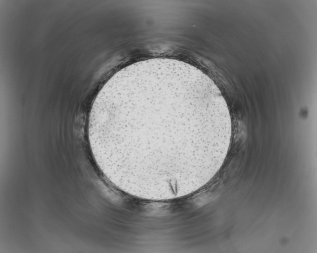 X0000116850664201002021046