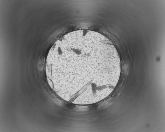 X0000116850665201002021046