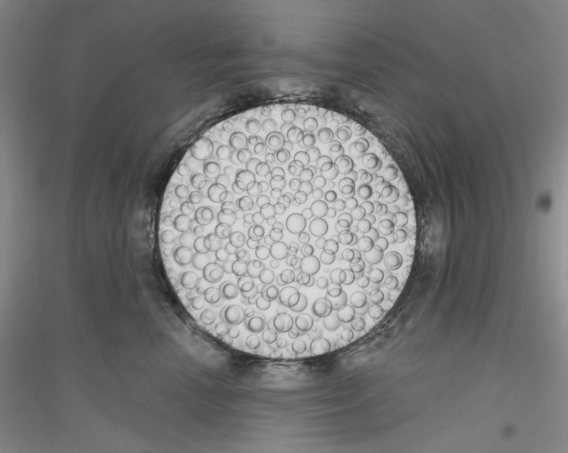 X0000116850666201002021046