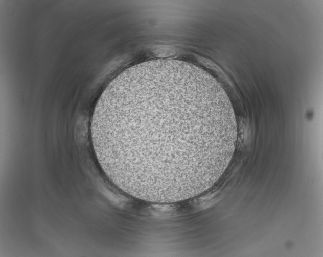 X0000116850667201002021046