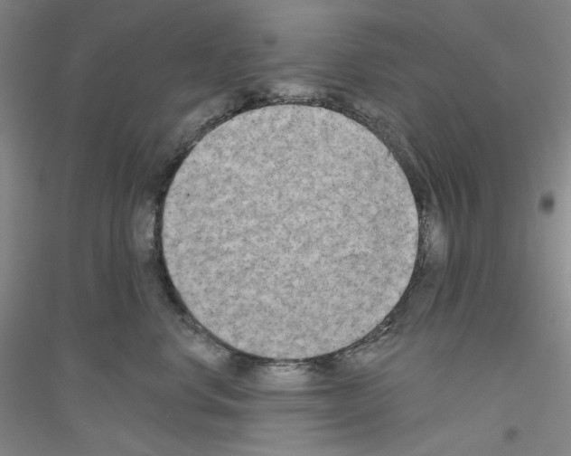 X0000116850668201002021046