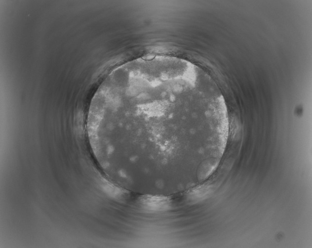 X0000116850670201002021046